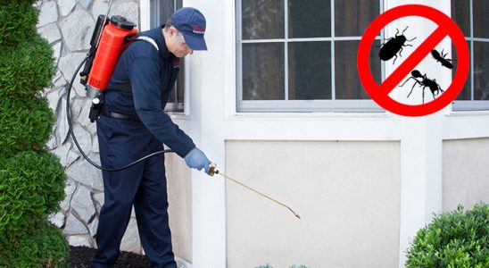 Kürtün Dezenfeksiyon böcek ilaçlama ve haşere kontrolü — ilaclama-tr.com